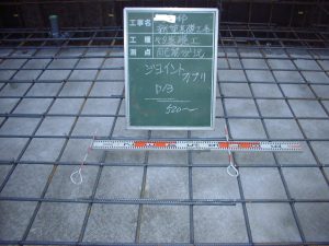 12010009